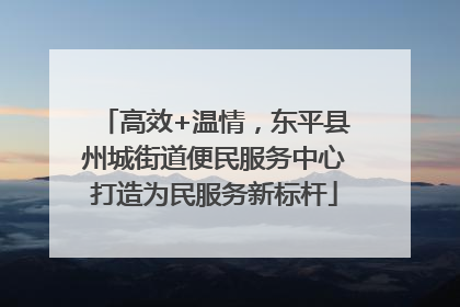高效+温情，东平县州城街道便民服务中心打造为民服务新标杆