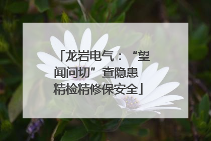 龙岩电气：“望闻问切”查隐患 精检精修保安全
