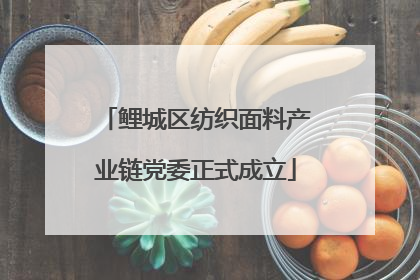 鲤城区纺织面料产业链党委正式成立