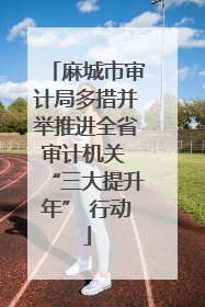 麻城市审计局多措并举推进全省审计机关 “三大提升年” 行动