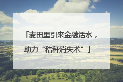 麦田里引来金融活水，助力“秸秆消失术”