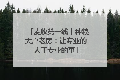 麦收第一线丨种粮大户老房：让专业的人干专业的事