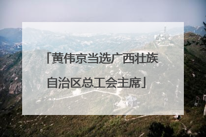 黄伟京当选广西壮族自治区总工会主席