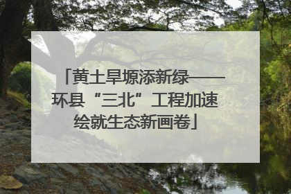 黄土旱塬添新绿——环县“三北”工程加速绘就生态新画卷