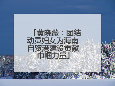 黄晓薇：团结动员妇女为海南自贸港建设贡献巾帼力量