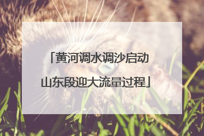 黄河调水调沙启动 山东段迎大流量过程