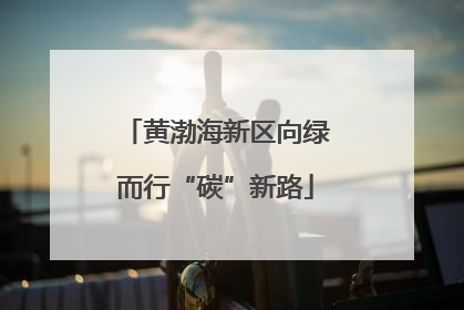 黄渤海新区向绿而行“碳”新路