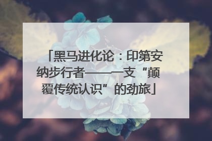 黑马进化论：印第安纳步行者——一支“颠覆传统认识”的劲旅