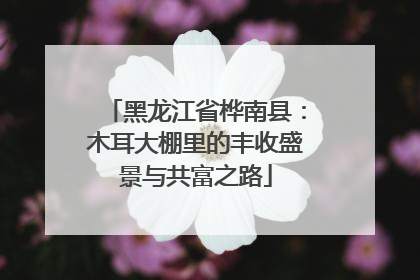 黑龙江省桦南县：木耳大棚里的丰收盛景与共富之路