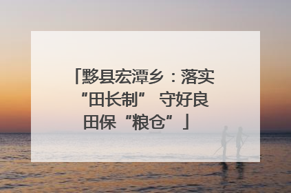 黟县宏潭乡：落实“田长制” 守好良田保“粮仓”