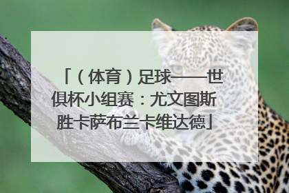 （体育）足球——世俱杯小组赛：尤文图斯胜卡萨布兰卡维达德
