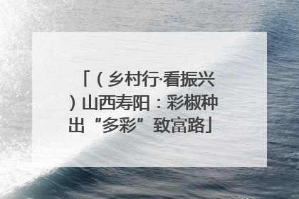 （乡村行·看振兴）山西寿阳：彩椒种出“多彩”致富路