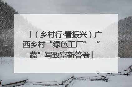 （乡村行·看振兴）广西乡村“绿色工厂” “蔬”写致富新答卷
