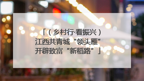（乡村行·看振兴）江西共青城“领头雁”开辟致富“新稻路”