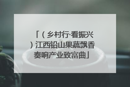 （乡村行·看振兴）江西铅山果蔬飘香 奏响产业致富曲