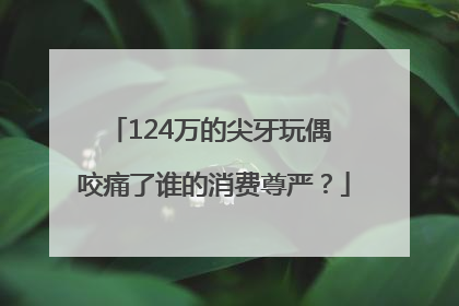 124万的尖牙玩偶 咬痛了谁的消费尊严？