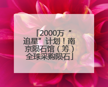 2000万“追星”计划！南京陨石馆（筹）全球采购陨石