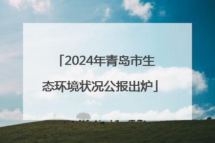 2024年青岛市生态环境状况公报出炉