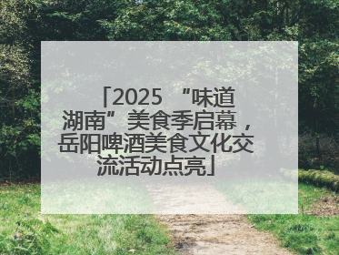 2025 “味道湖南”美食季启幕，岳阳啤酒美食文化交流活动点亮