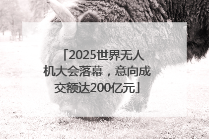 2025世界无人机大会落幕，意向成交额达200亿元