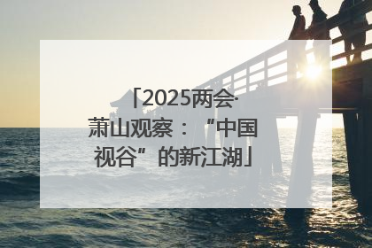 2025两会·萧山观察：“中国视谷”的新江湖