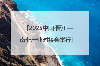 2025中国·晋江—南非产业对接会举行