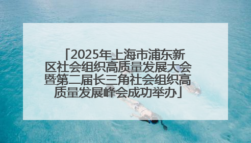 2025年上海市浦东新区社会组织高质量发展大会暨第二届长三角社会组织高质量发展峰会成功举办