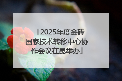2025年度金砖国家技术转移中心协作会议在昆举办