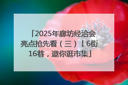 2025年廊坊经洽会亮点抢先看（三）丨6街16巷，邀你逛市集