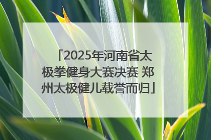 2025年河南省太极拳健身大赛决赛 郑州太极健儿载誉而归