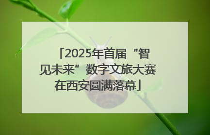 2025年首届“智见未来”数字文旅大赛在西安圆满落幕