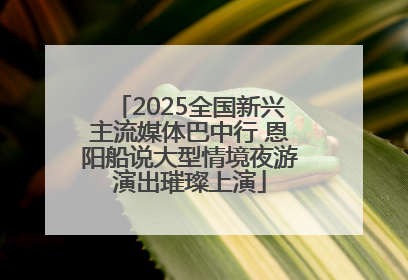2025全国新兴主流媒体巴中行 恩阳船说大型情境夜游演出璀璨上演