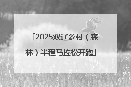 2025双辽乡村（森林）半程马拉松开跑