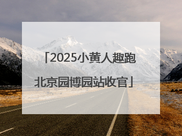 2025小黄人趣跑北京园博园站收官