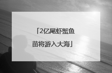 2亿尾虾蟹鱼苗将游入大海