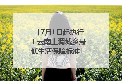 7月1日起执行！云南上调城乡最低生活保障标准