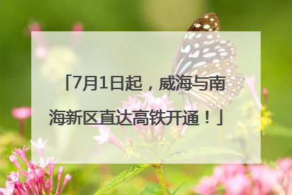 7月1日起，威海与南海新区直达高铁开通！