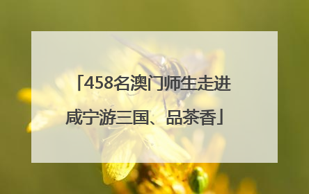 458名澳门师生走进咸宁游三国、品茶香