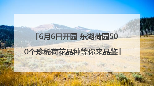 6月6日开园 东湖荷园500个珍稀荷花品种等你来品鉴