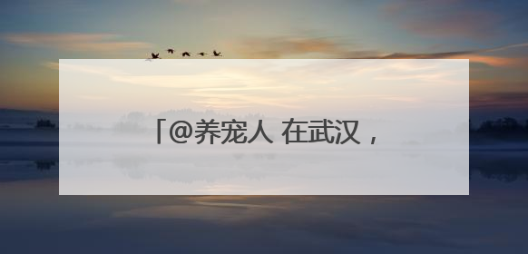 @养宠人 在武汉，宠物也可以坐高铁了