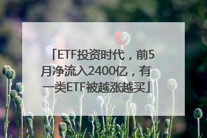 ETF投资时代，前5月净流入2400亿，有一类ETF被越涨越买