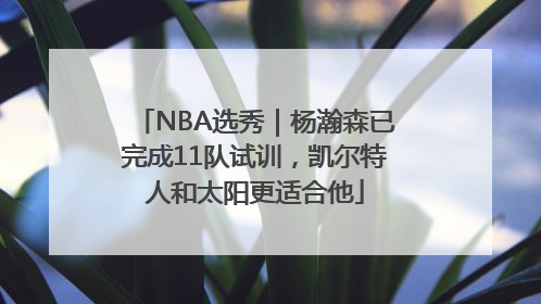 NBA选秀｜杨瀚森已完成11队试训，凯尔特人和太阳更适合他